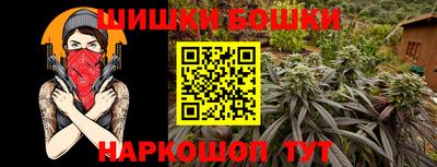 гашик Заводоуковск