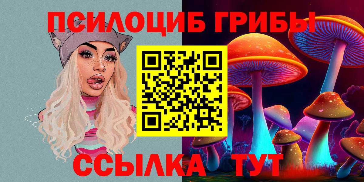 Галлюциногенные грибы Psilocybine cubensis  как найти закладки  Калач-на-Дону  Вход с VPN 